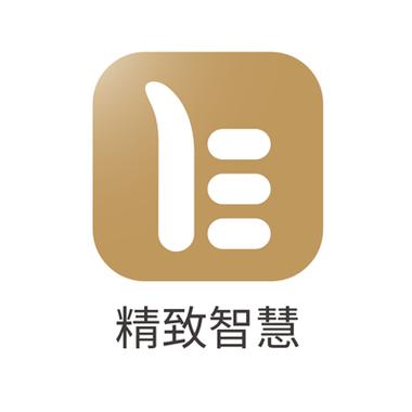 湖南精致智慧科技